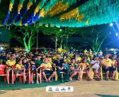 Brasil em campo, Peixe-Boi na torcida!